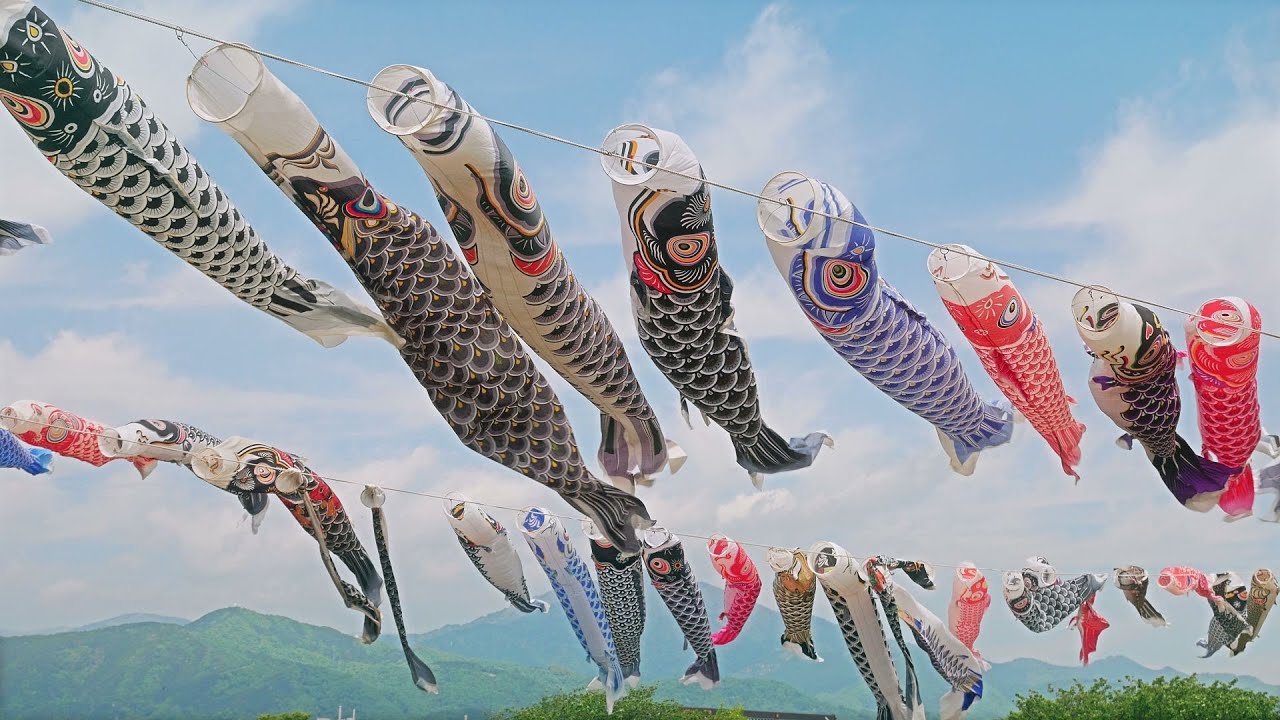 【第19回 鈴川鯉のぼりまつり】 神奈川県 平塚市 May 4, 2025, Koinobori carp streamer