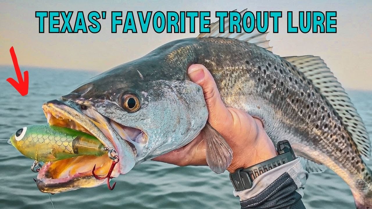 Texas' Favorite Lure For Trout (Does It Work In Other States?)