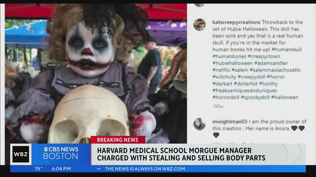 Peabody "creepy dolls" store owner accused of selling stolen body parts