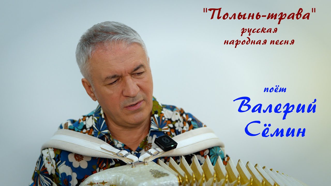 Песня под баян от ВАЛЕРИЯ СЁМИНА ❤️ 