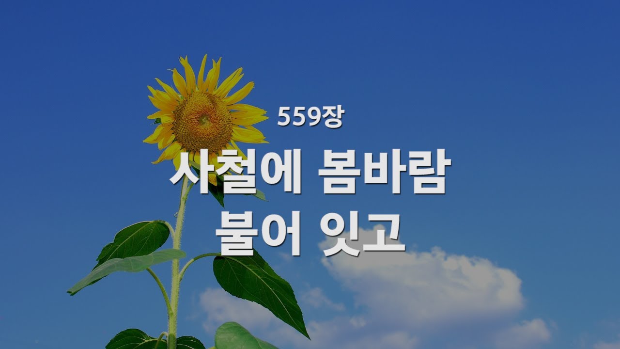 [새찬송가] 559장 사철에 봄바람 불어잇고