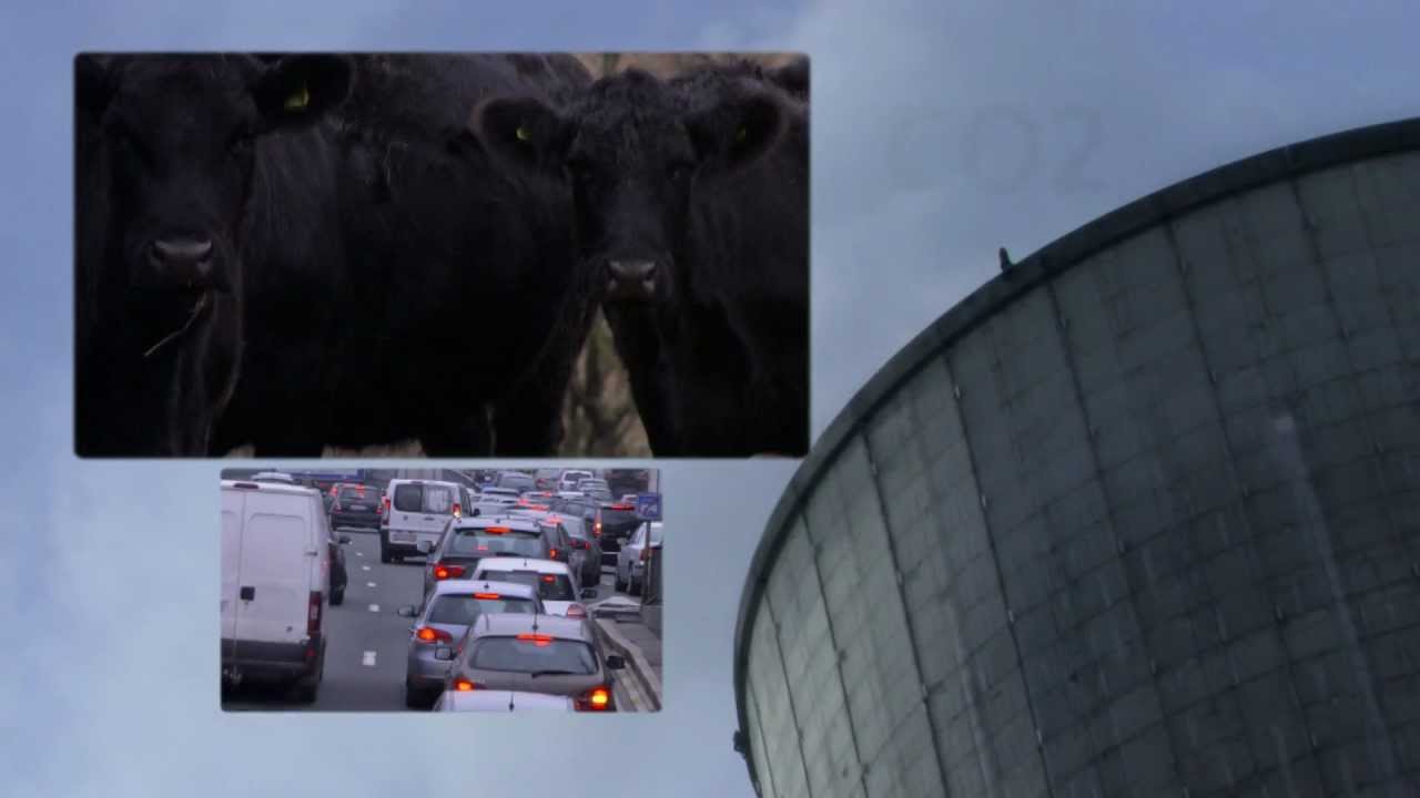 The environmental impact of meat consumption / livestock