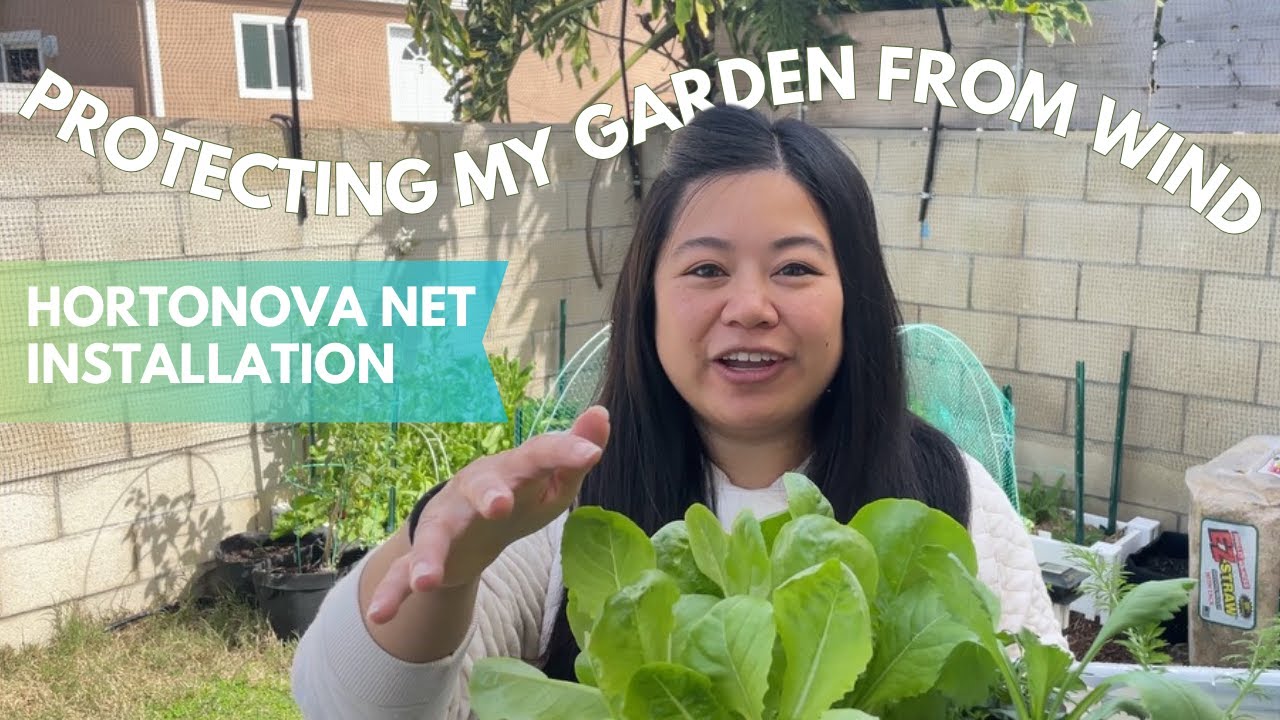 Planting Seedlings 🌱 and Installing Plant Supports 🏗|  Flower Patch Blooms