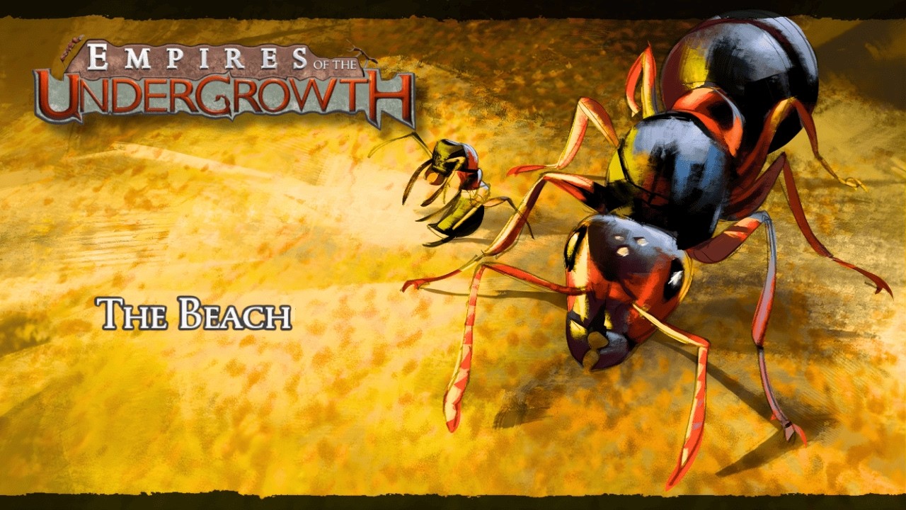 Wood Ant Colony Fights for Control of the Beach! | Empires Of The Undergrowth
