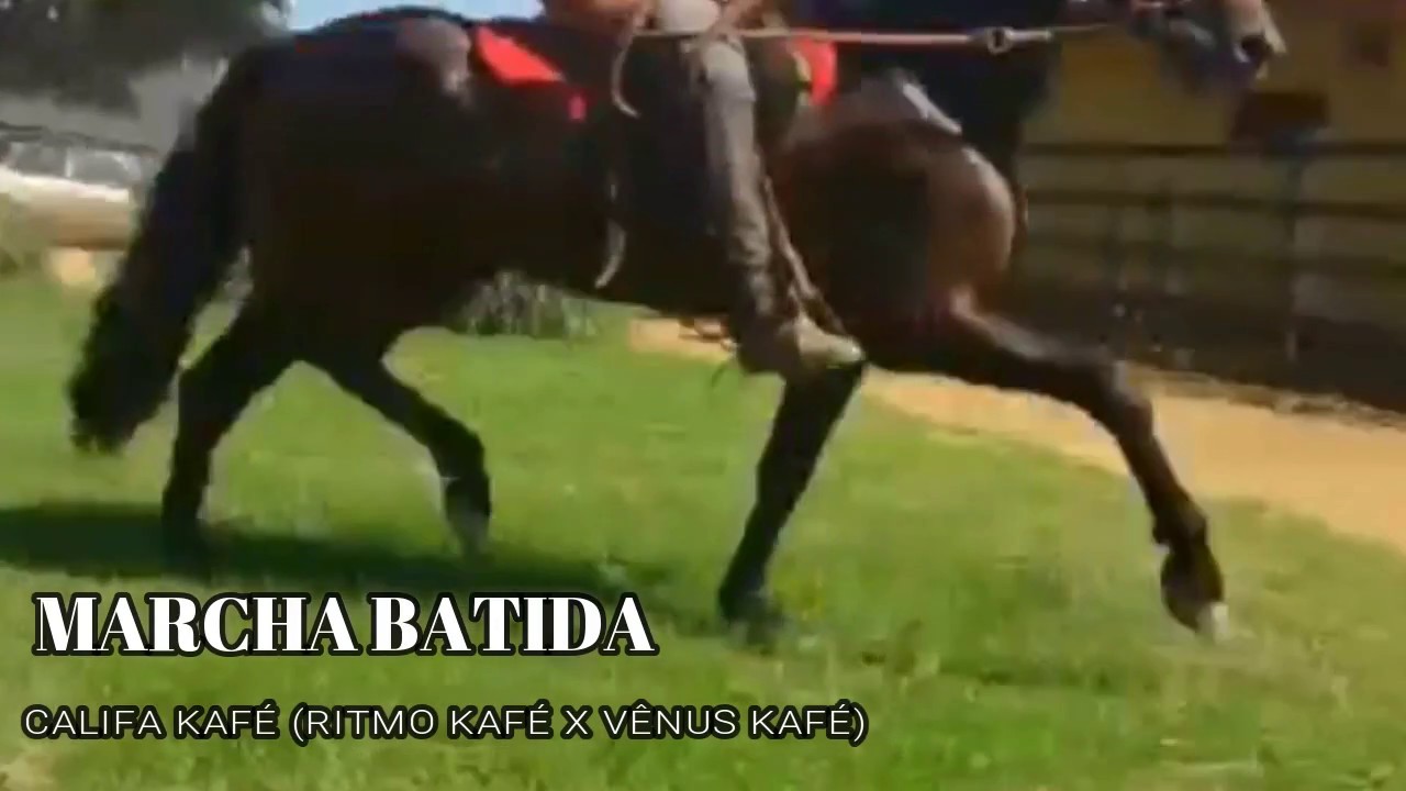 DIFERENÇA ENTRE MARCHA BATIDA E MARCHA PICADA!