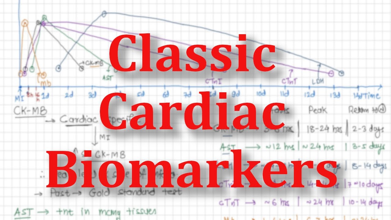Serum Enzymes in Myocardial Infarction Explained | 5 markers you MUST know