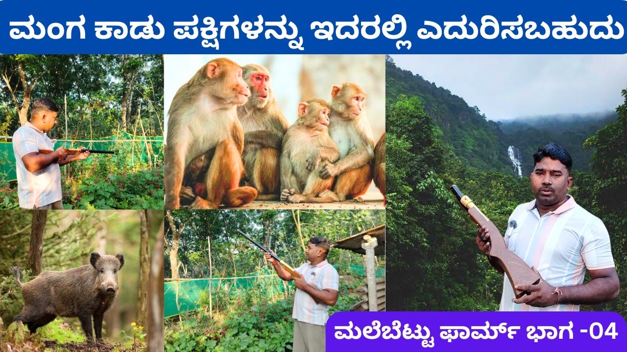ಇದು ಬಂದೂಕಲ್ಲ ಇದಕ್ಕೆ ಲೈಸೆನ್ಸ್ ಬೇಕಿಲ್ಲ‼️ಒಂದು ಮರದ ತುಂಡು ಮತ್ತು ಕಬ್ಬಿಣದ ಪೈಪು ⁉️ಹಬ್ಬದ ಪಟಾಕಿ ದೊಡ್ಡ ಅಸ್ತ್ರ