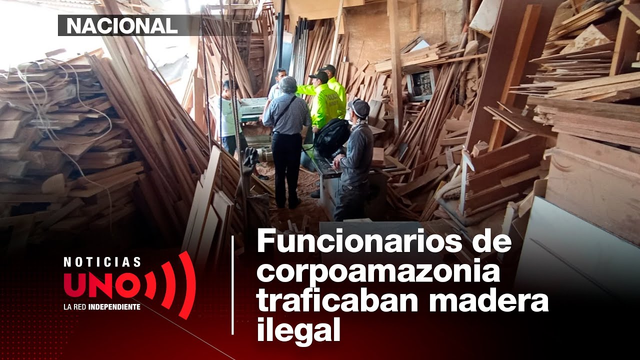 Funcionarios de Corpoamazonia señalados de traficar madera ilegal | Noticias UNO
