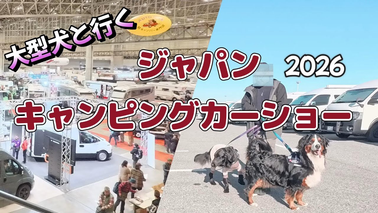 大型犬と日本最大級キャンピングカーショーに行って来ました！#ジャパンキャンピングカーショー