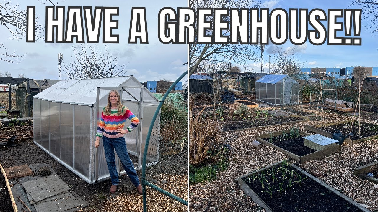PUTTING UP A POLYCARBONATE GREENHOUSE / ALLOTMENT GARDENING UK