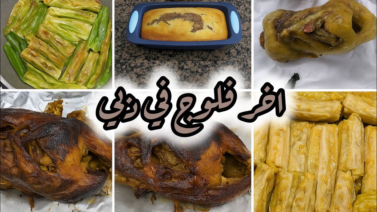 رجعت مصر بسبب التعب 🧳✈️اخر فلوج في دبي