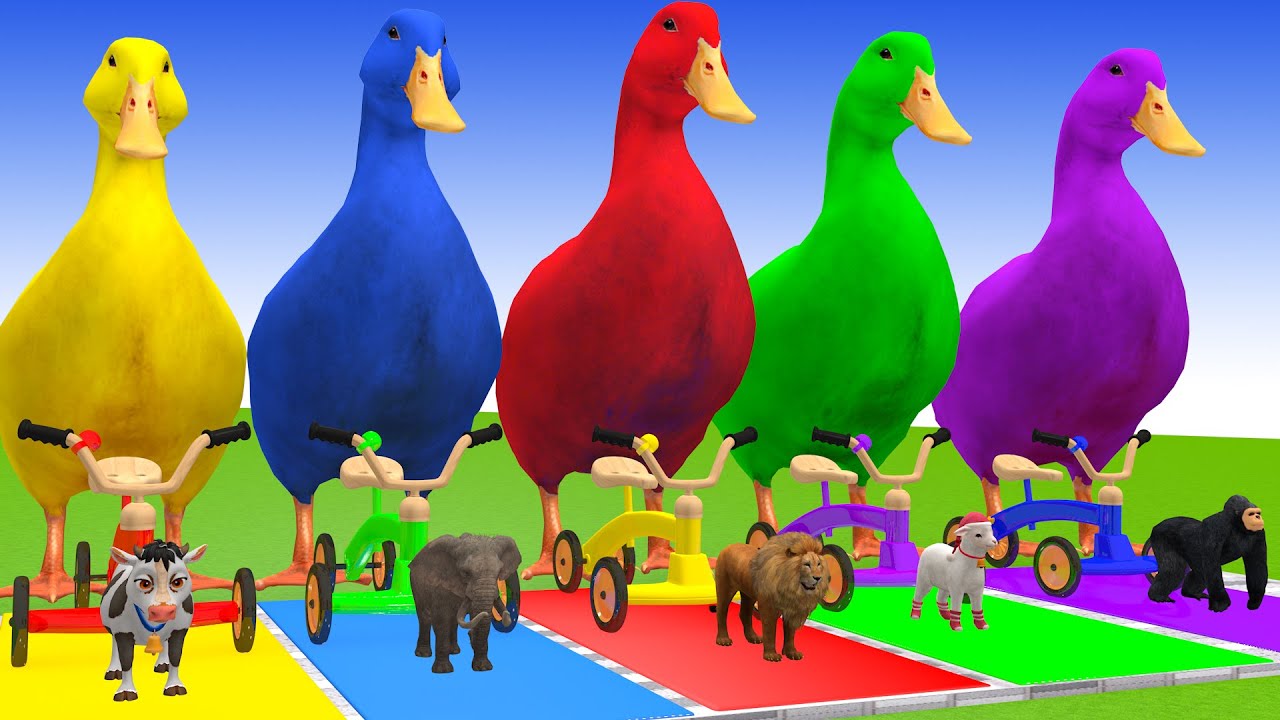 Long Slide Game With Cow Elephant Gorilla Hippopotamus Tiger 3d Animal Game Funny 3d Animals