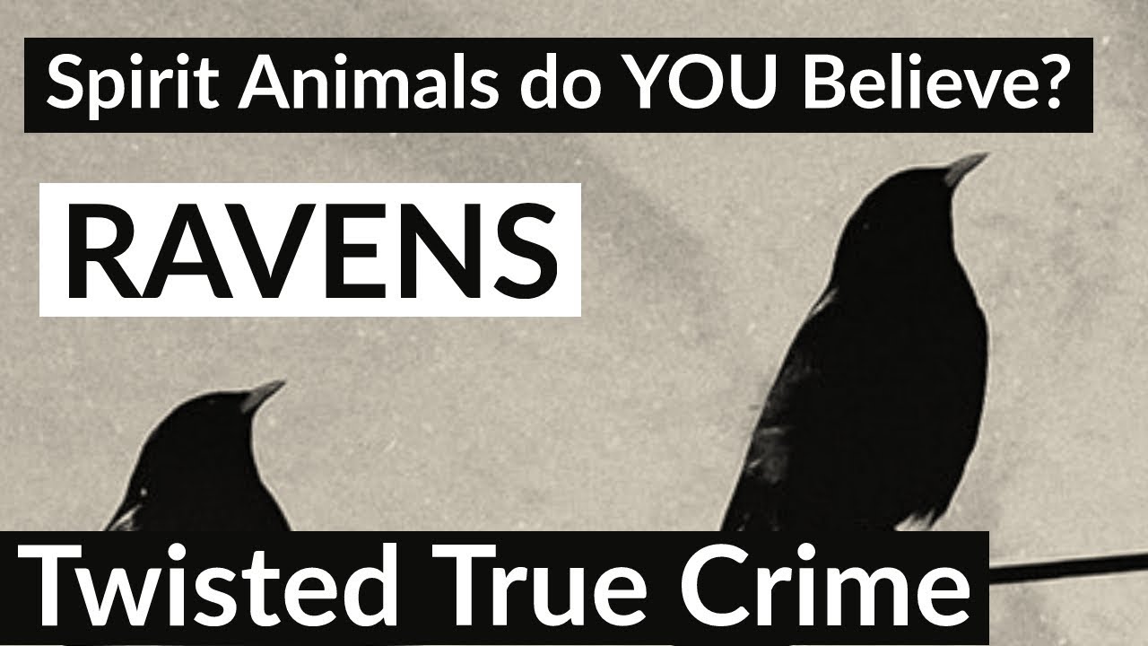 Spirit Guides - The Raven - Significance- Twisted True Cindy