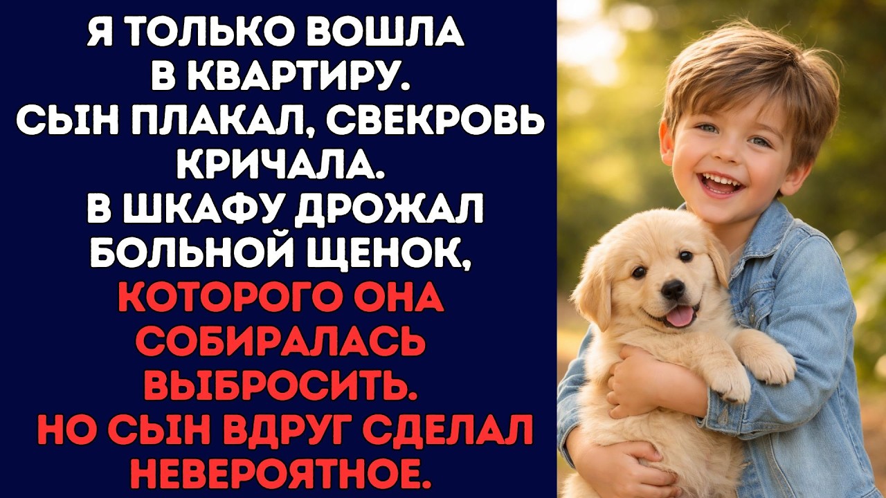 Я вошла в квартиру.Сын плакал, свекровь кричала. В шкафу дрожал больной щенок, которого она...