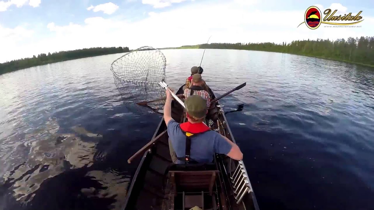 Tornionjoki,  Naamisuvanto, Pello 01.07.2015: salmon fishing in Tornio River in Lapland Finland