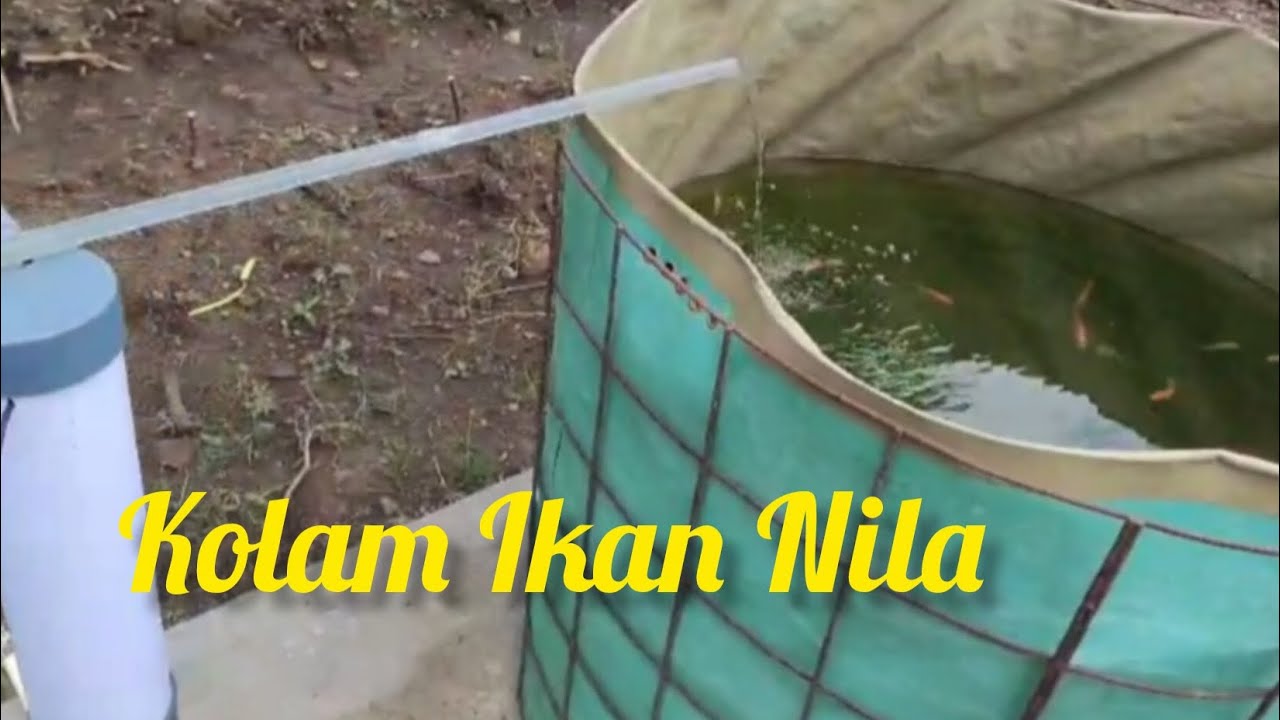Kolam Ikan Nila