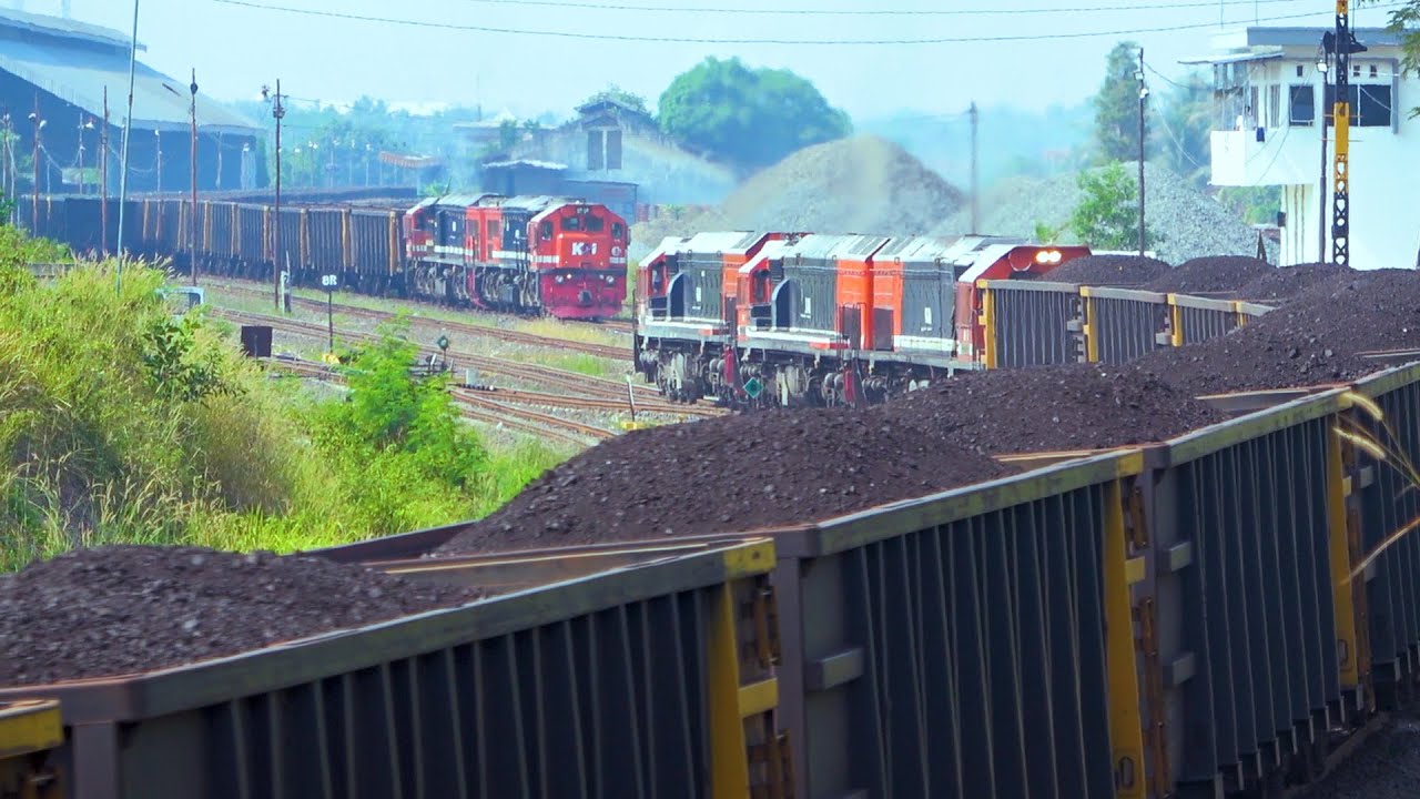 Kereta Api Triple Traksi Batu Bara Rangkaian Panjang, Suara Menggelegar.