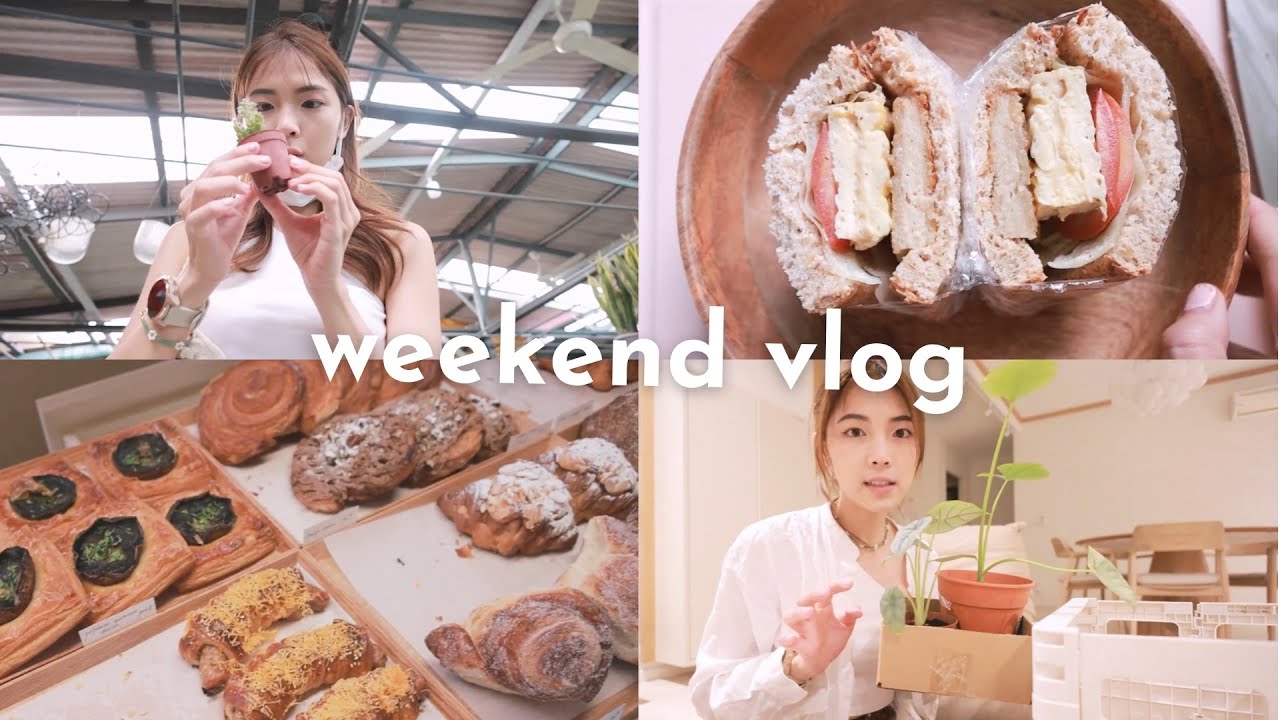 Calming vlog 疗愈🌱 things to do when you are bored.