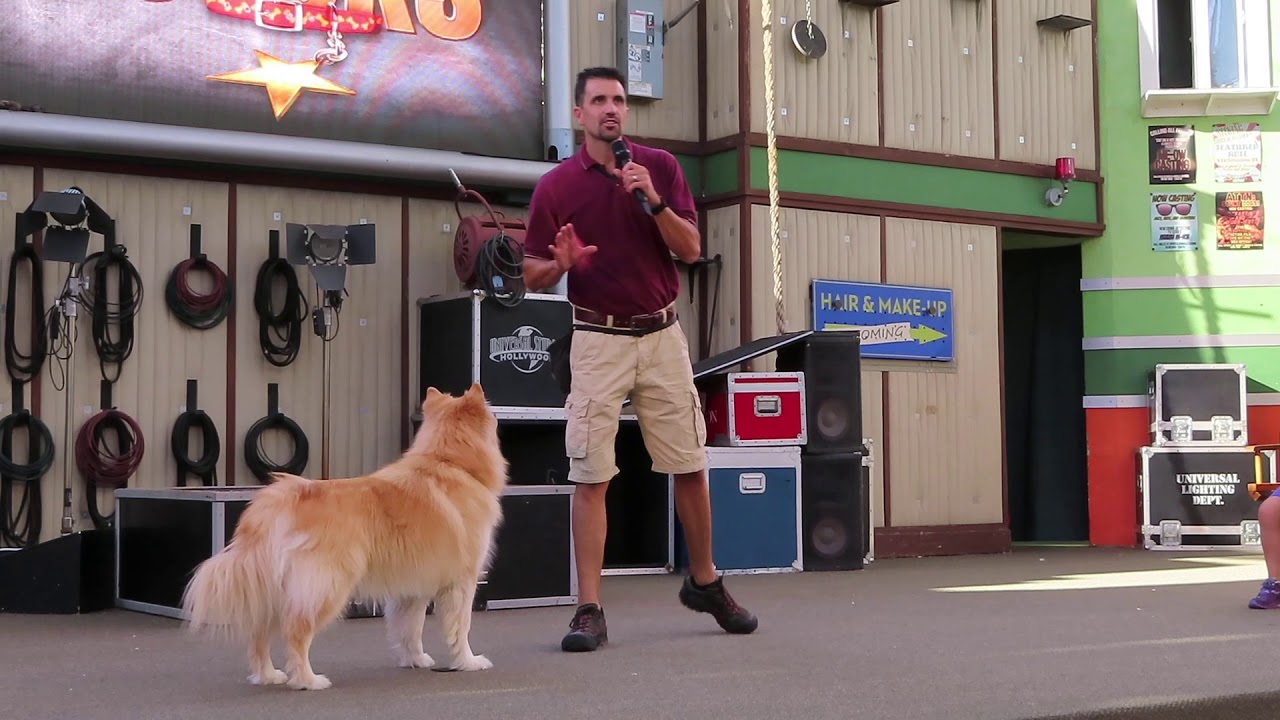 Animal Actors Pass Member Appreciation Show at Universal Studios Hollywood