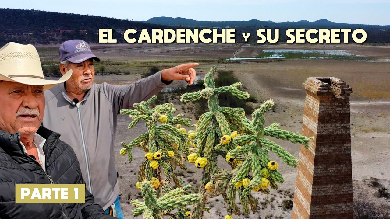 AQUÍ EL AGUA FUE TAN SALADA COMO EL MAR, PURO ORO MOLIDO