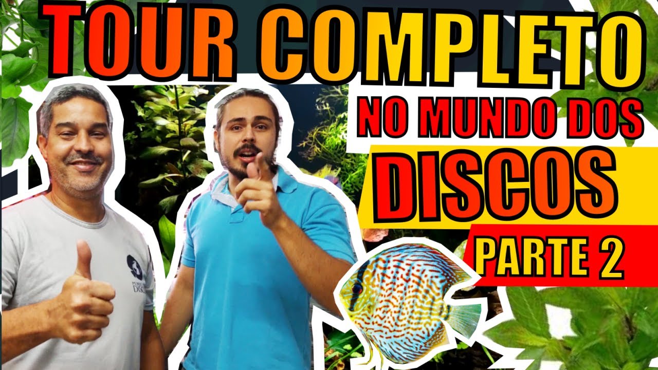 🔴TOUR PELA LOJA MUNDO DOS DISCOS: PARTE 02 ( MUITOS AQUÁRIOS, PEIXES E PRODUTOS ) |Mr. Betta|