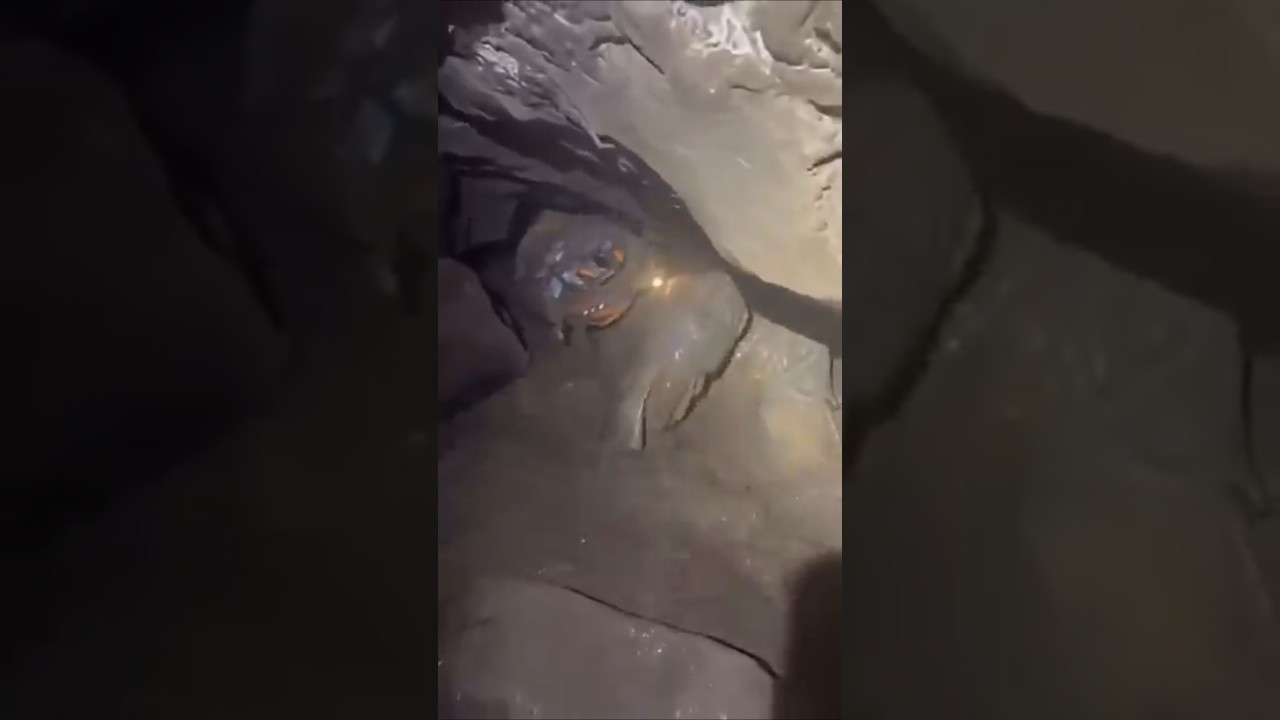 NEPAL FLOOD I JAWANS RISKING LIVES IN TUNNEL RESCUE - JAW DROPPING VISUALS #nepal #flood #viral