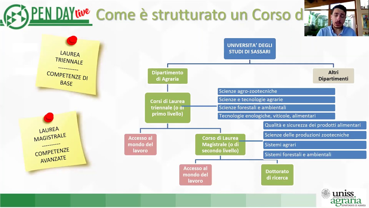 Struttura dei corsi universitari