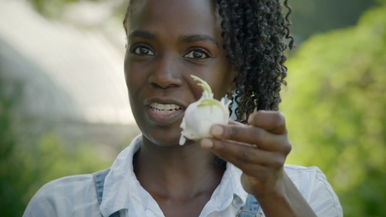 30 Day Harvest Vegetables and Herbs— Garlic