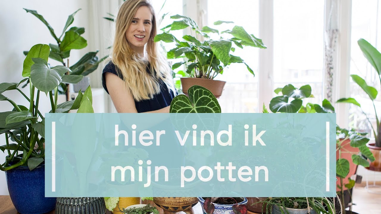 Potten voor je kamerplanten verzamelen