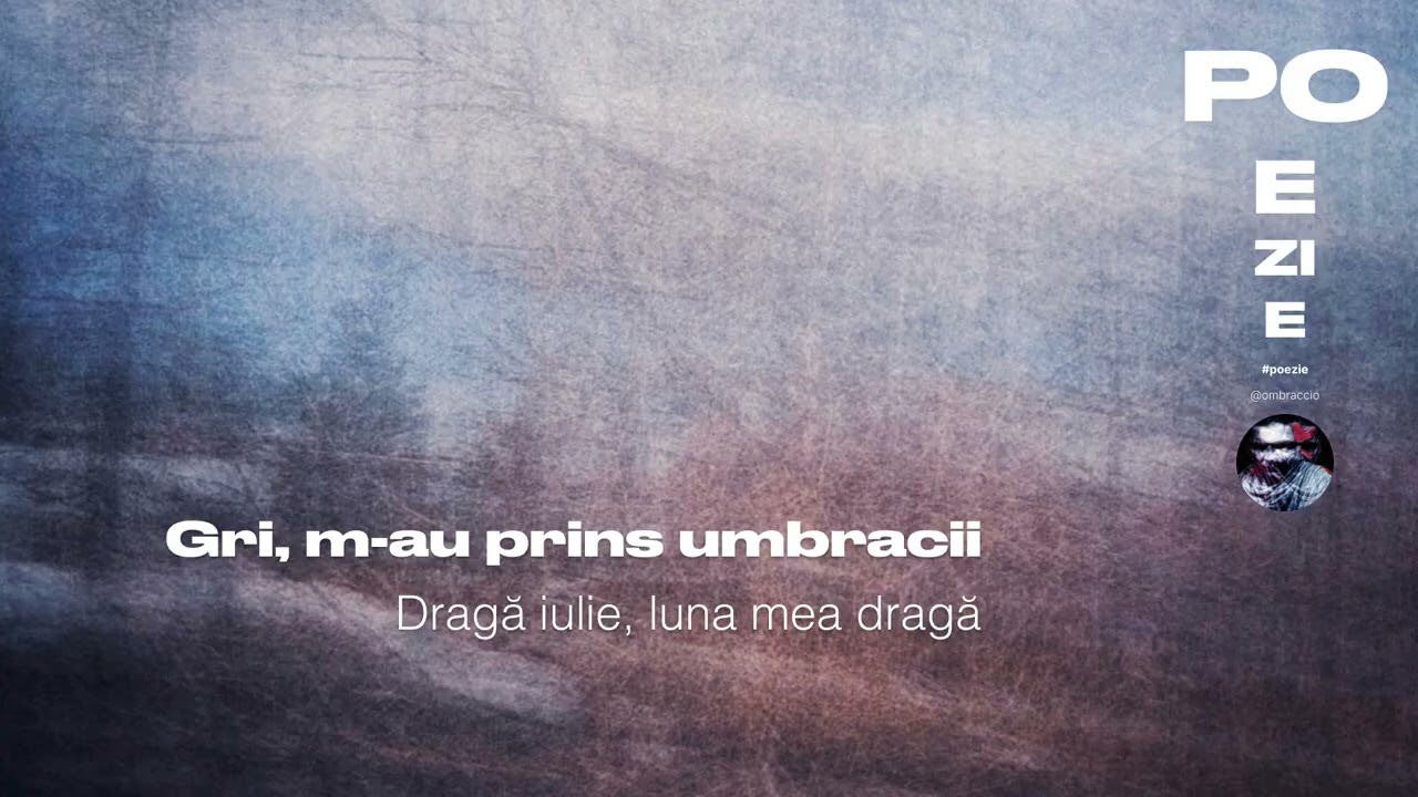 Dragă iulie, luna mea dragă | Gri, m-au prins umbracii