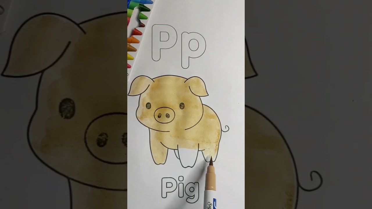 P for Pig 🐖  