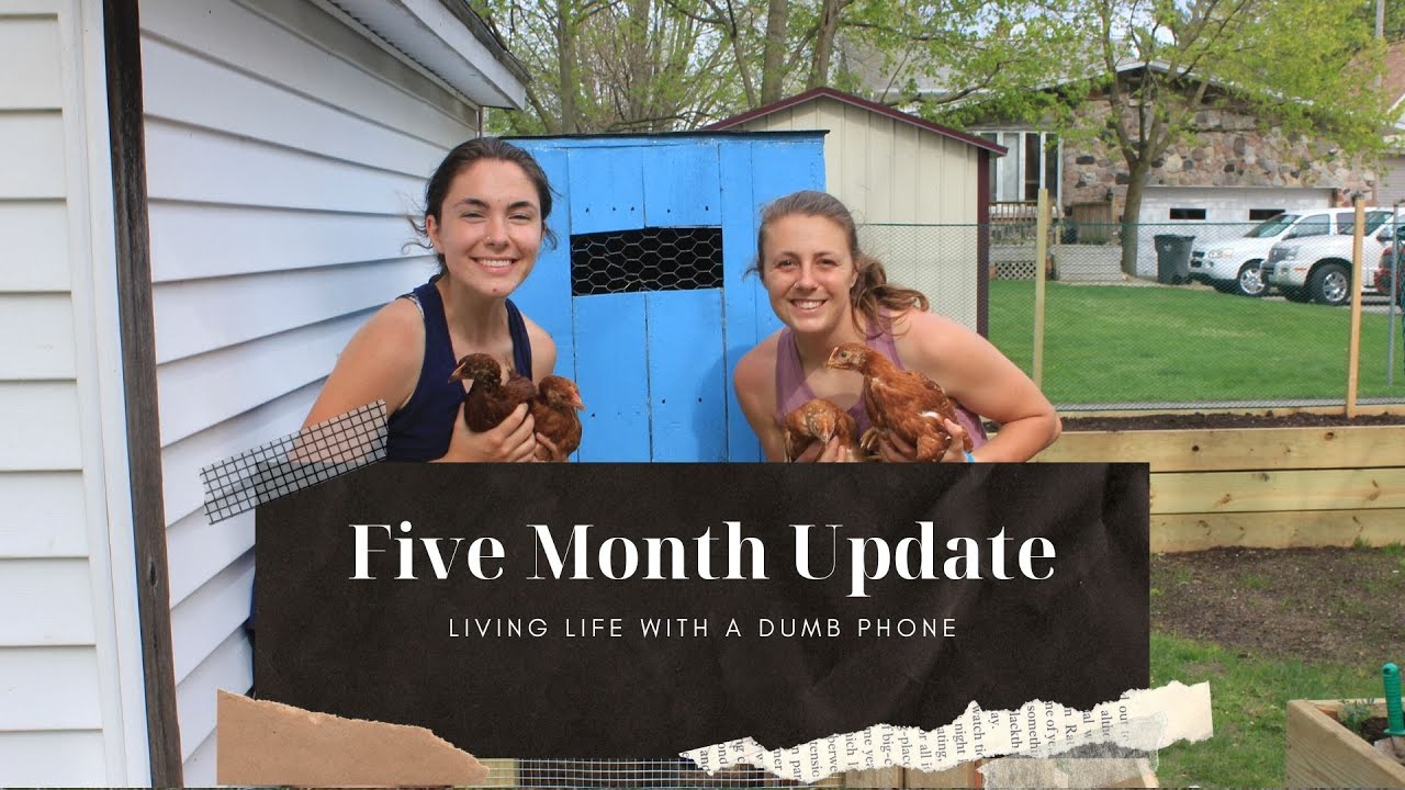 5 MONTHS WITH A DUMBPHONE