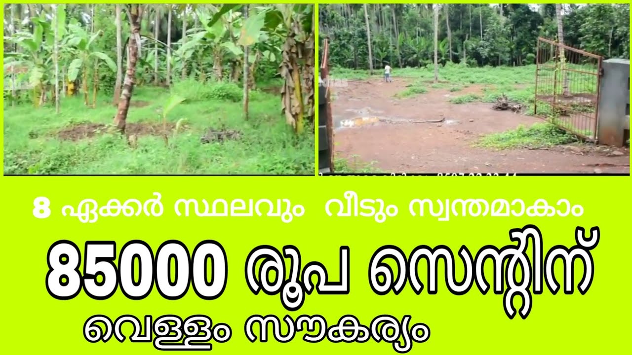 Land For Sale In Malappuram | Nilambur | 8 acre land | below 1 lakhs | agricultural  land sale