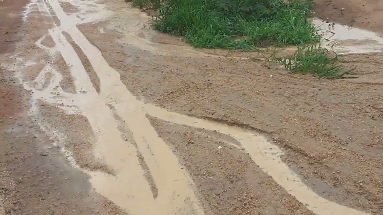 2 de março de 2026