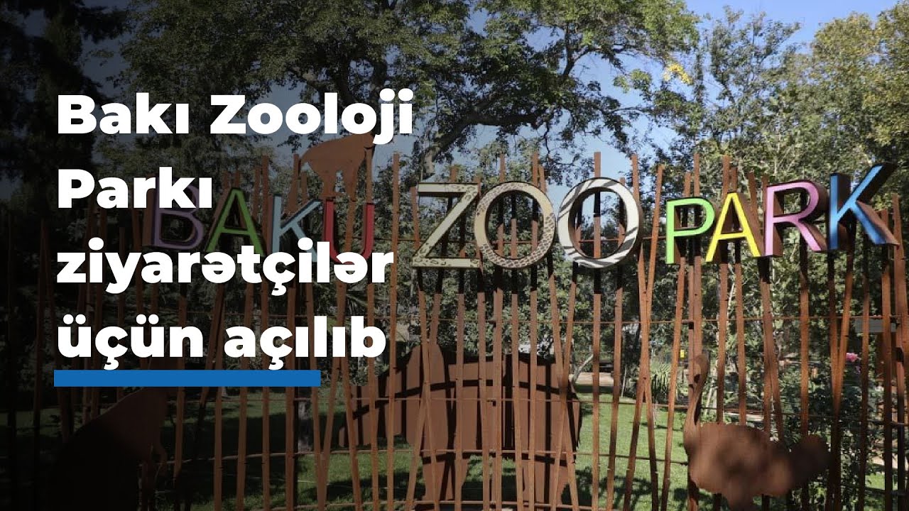 Bakı Zooloji Parkı ziyarətçilər üçün açılıb