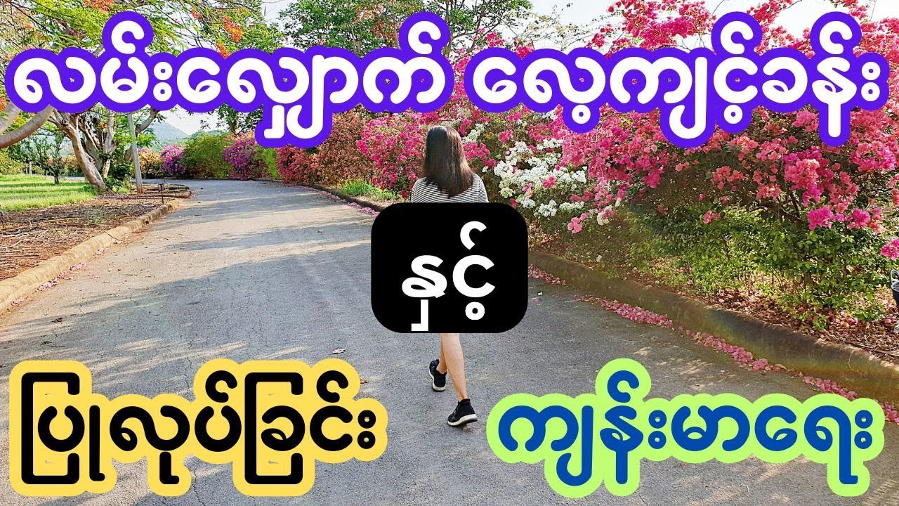 လမ်းလျှောက်လေ့ကျင့်ခန်းပြုလုပ်ခြင်း နှင့် ကျန်းမာရေး