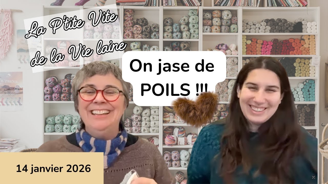 La P'tite vite de la Vie laine - 14 janvier 2026