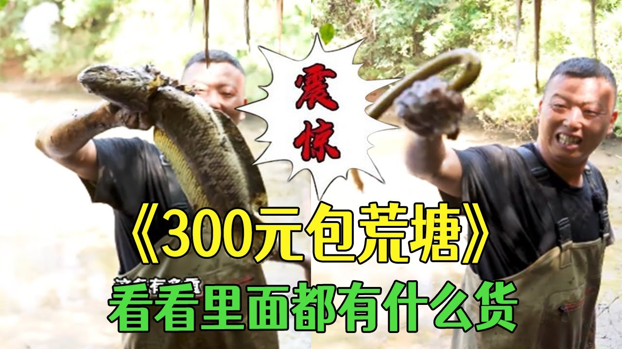 粉絲朋友花300包下壹個荒塘，看看裏面有什麽貨 