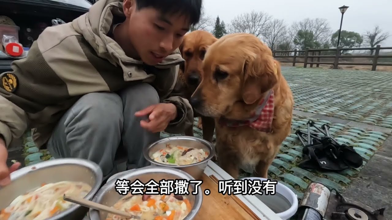 河中下的网看看能捕到多少鱼？山中寺庙阴森恐怖狗狗拉着要往回走