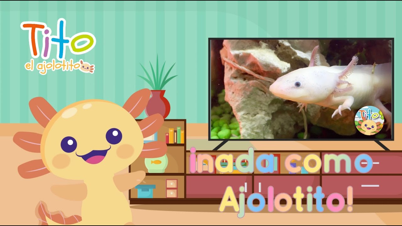 Canci&oacute;n Ajolotitos con Tito el Ajolotito -canci&oacute;n para ni&ntilde;os y ni&ntilde;as - aprende con Tito