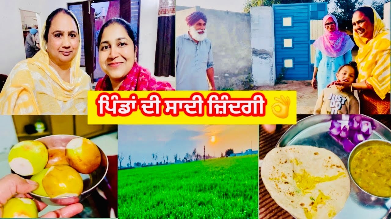 ਪਿੰਡਾਂ ਦੀ ਸਾਦੀ ਜ਼ਿੰਦਗੀ | Evening Punjabi Vlog | Village Life Punjab | #kaurneena 