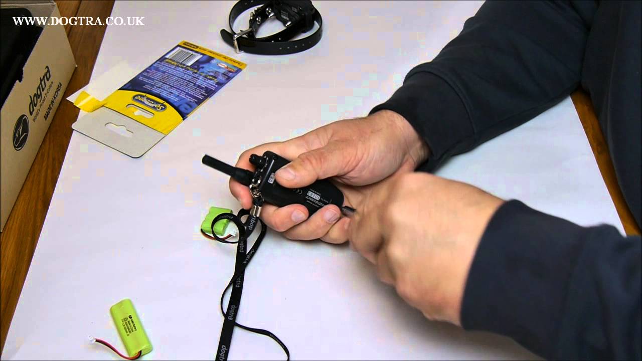 Changing Batteries in Dogtra E-Collars | Dogtra UK Guide