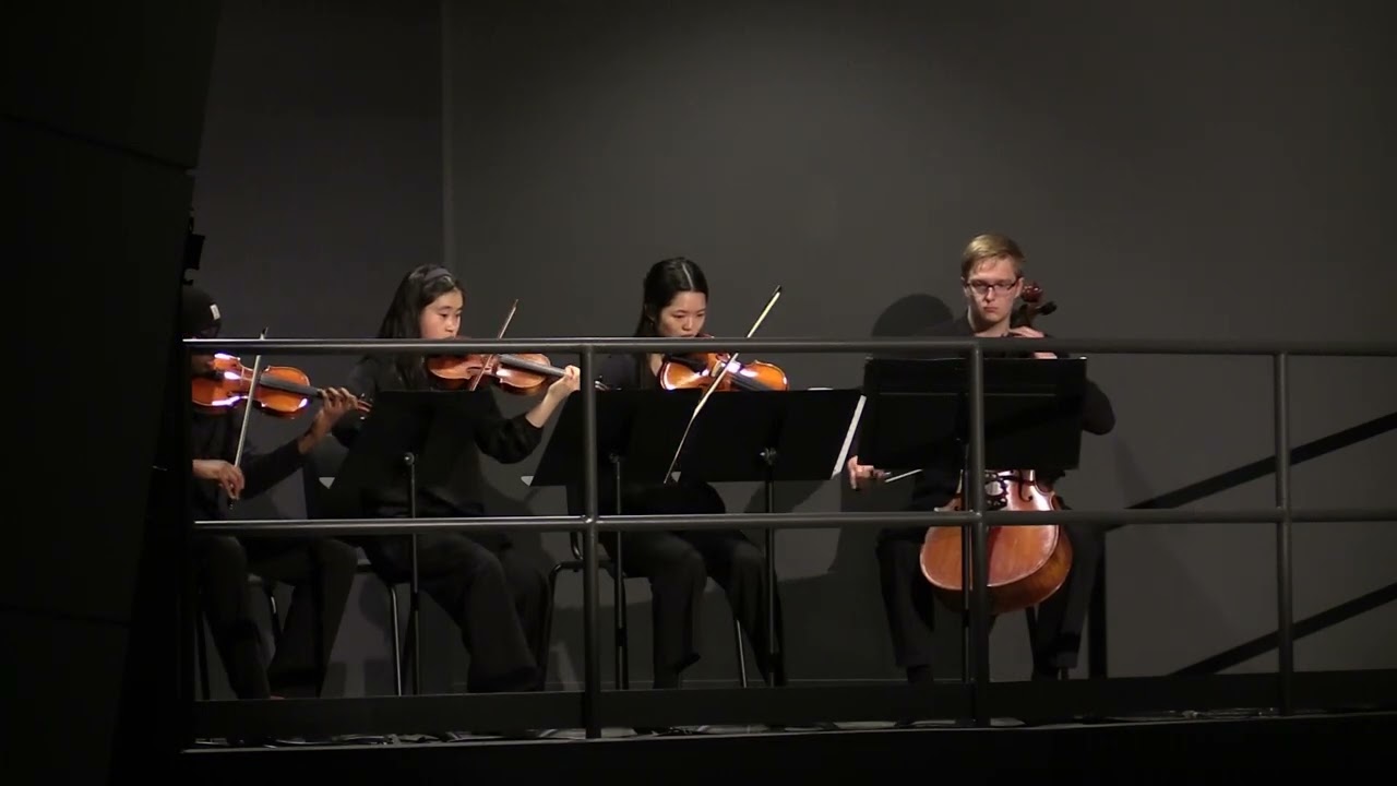 3-17-2026 Megan Viola - Adante from Divertmento in D, K136 - W A  Mozart