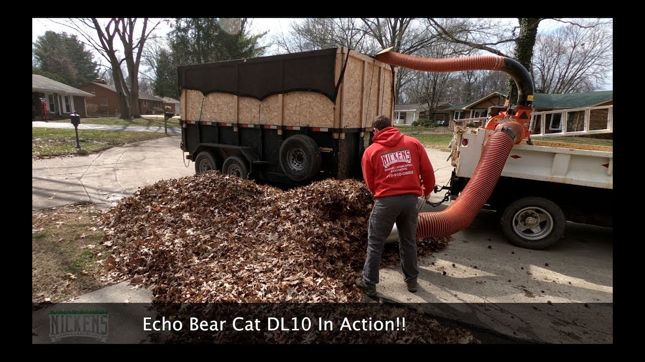 Echo Bear Cat DL10 1 Year Review | Did we Make the Right Choice?