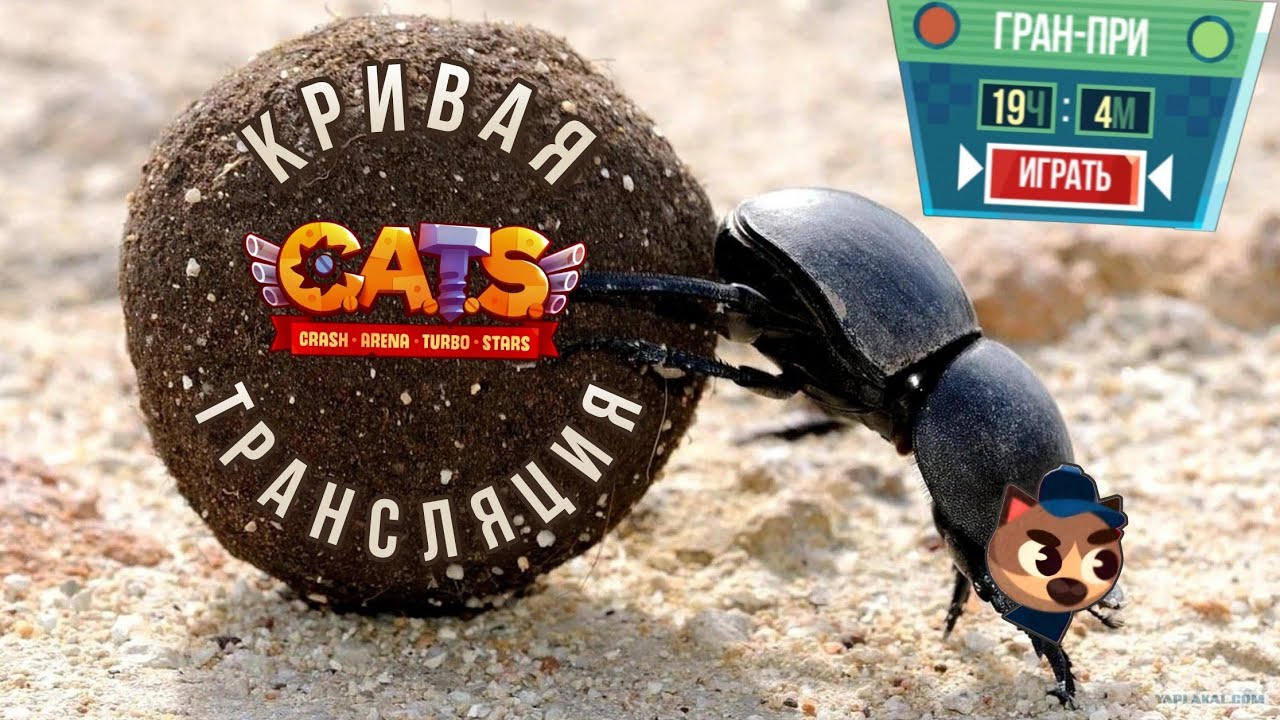 Кривая трансляция по C.A.T.S! Коллапсовое дрочево орбиты Гран-При