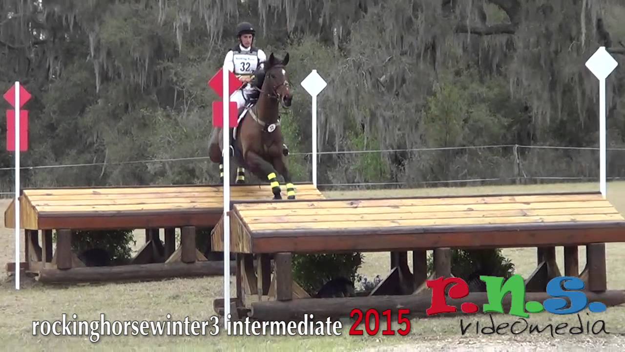 Rocking Horse 3 Intermediate Water 2015
