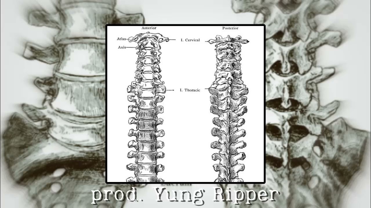 [FREE FOR PROFIT] BONES TYPE BEAT 