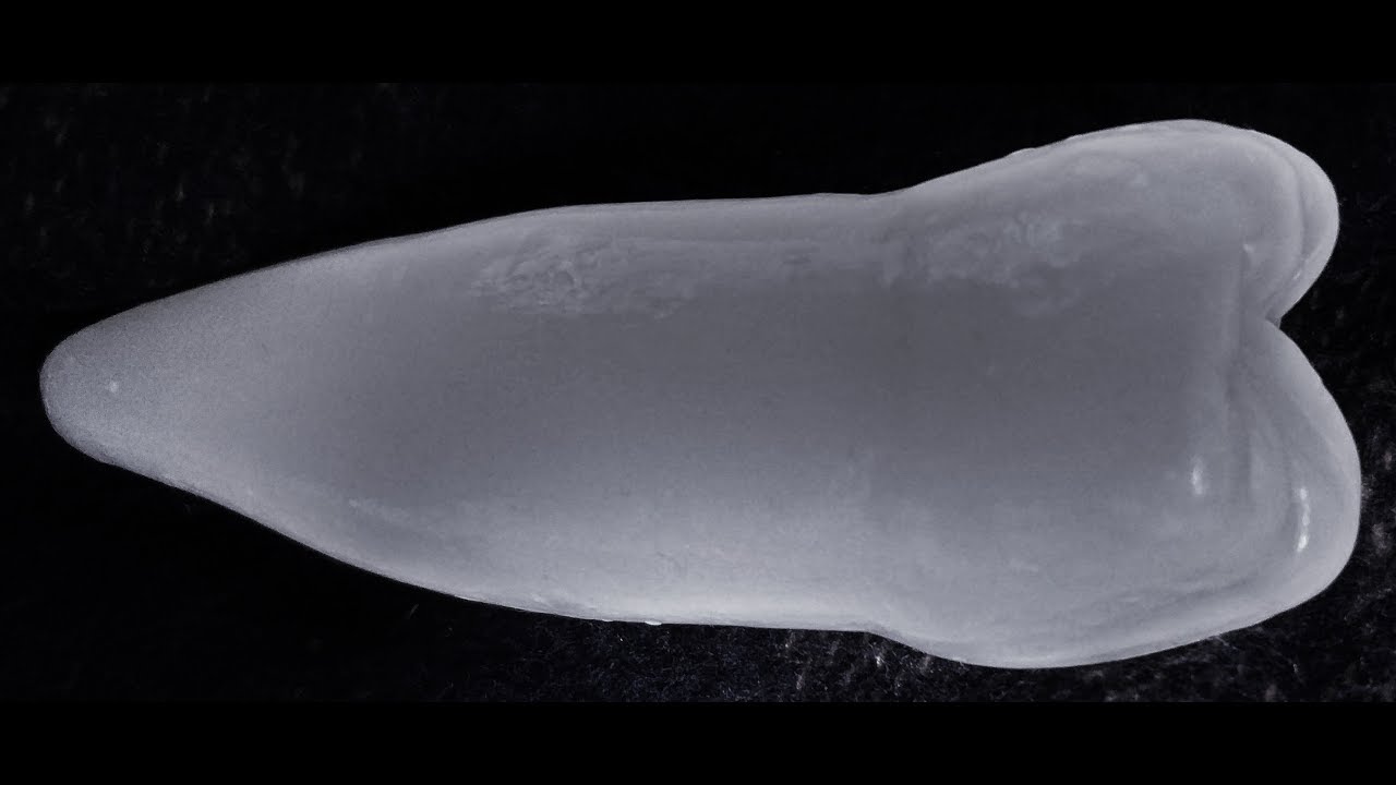 DENTAL ANATOMY-MANDIBULAR 2. PREMOLAR - ALT 2. KÜÇÜK AZI DİŞİ - CARVING 8