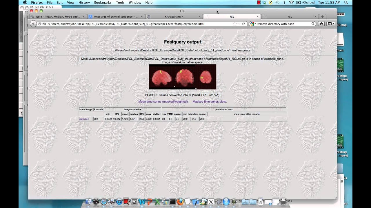 FSL Featquery