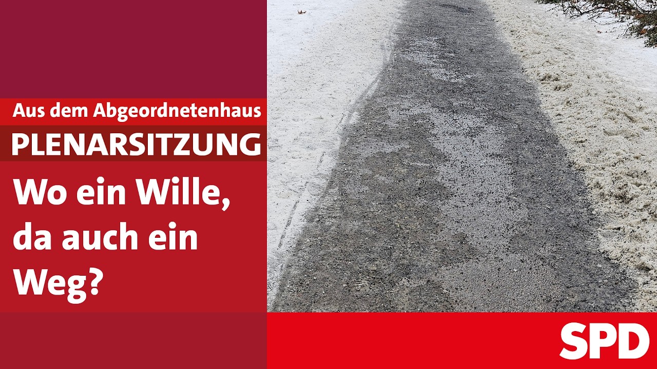 Plenarsitzung, Sitzungs-Nr. 80 (50)